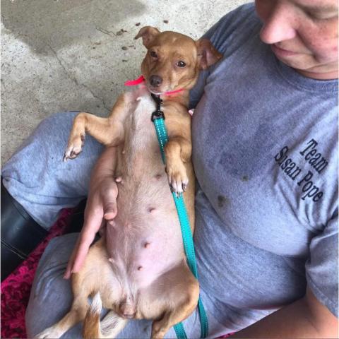 Ellie Mae