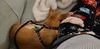 Wiggles (chi)