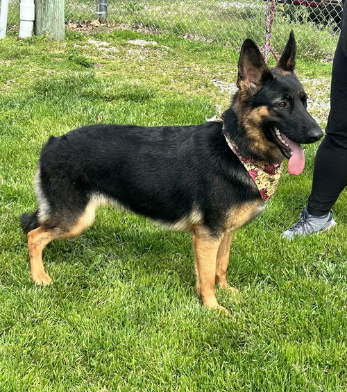 Ellie