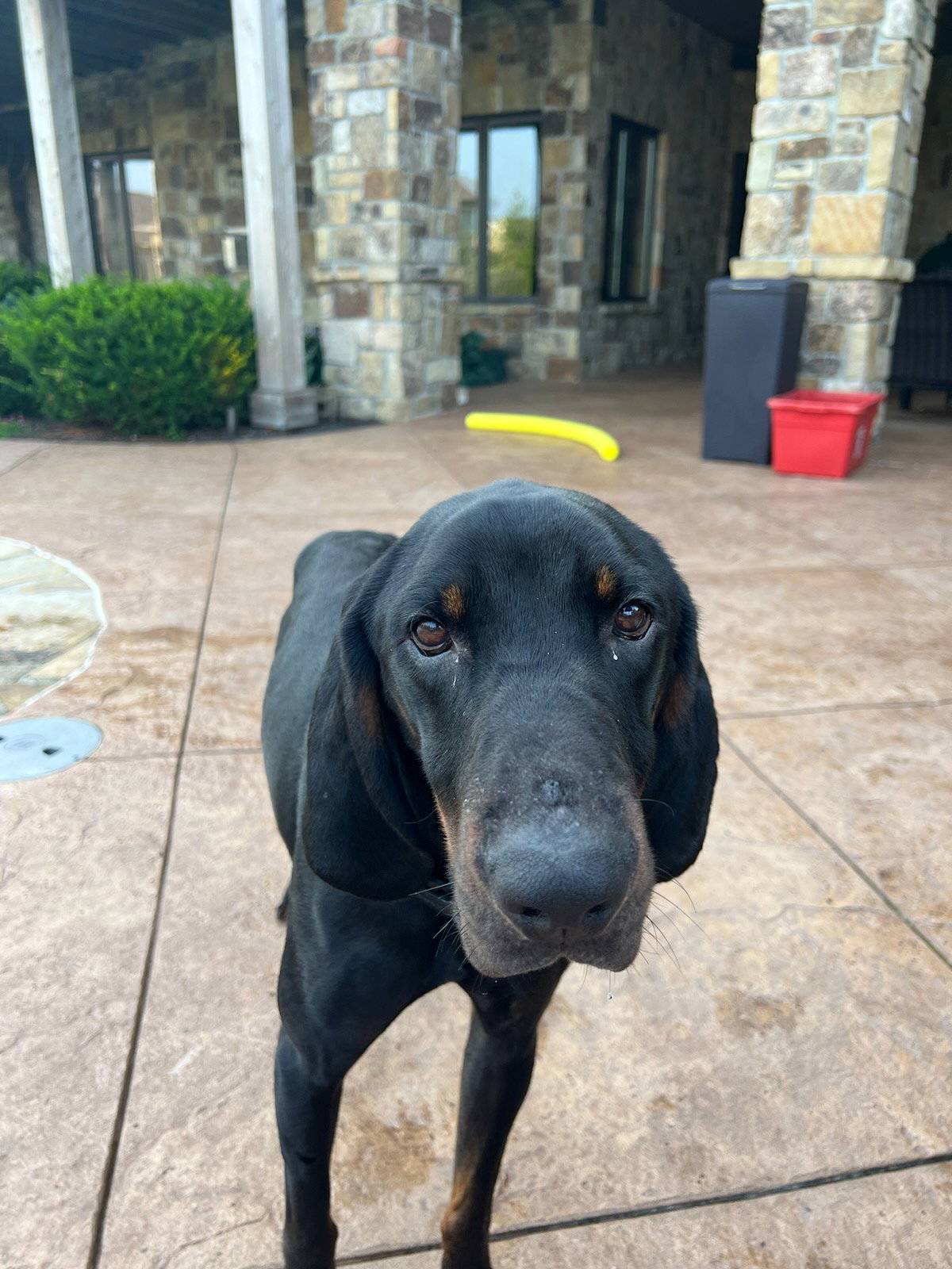 Deacon