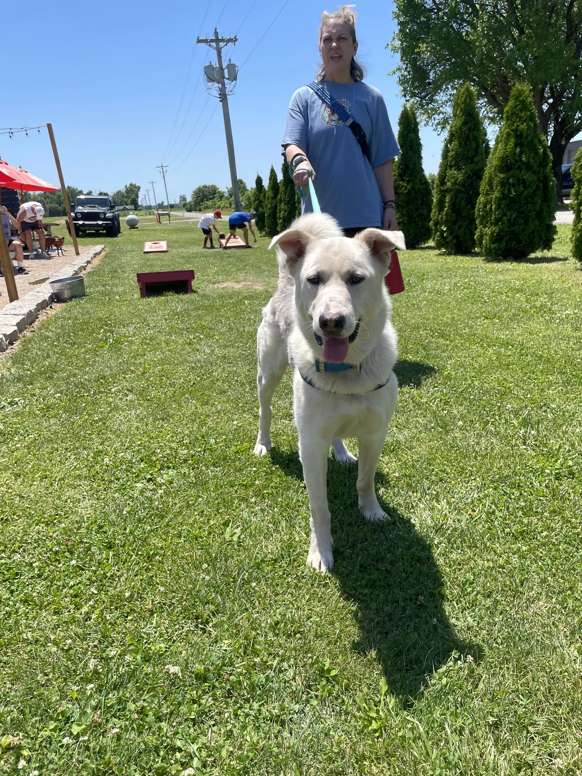 Toby image 4