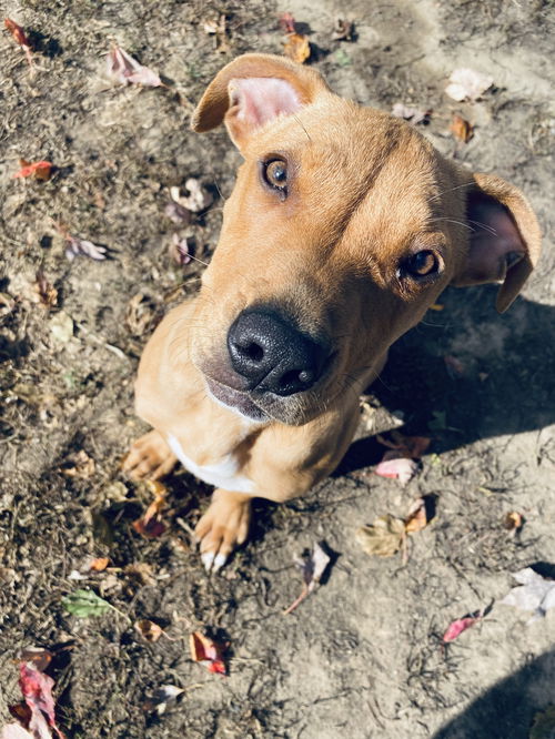 Ella
