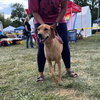 Reggie - Photo 1