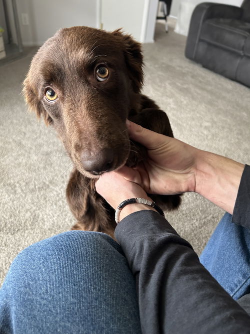 Ella
