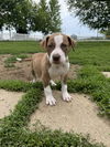 Oliver