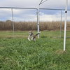 Monkee - Photo 2