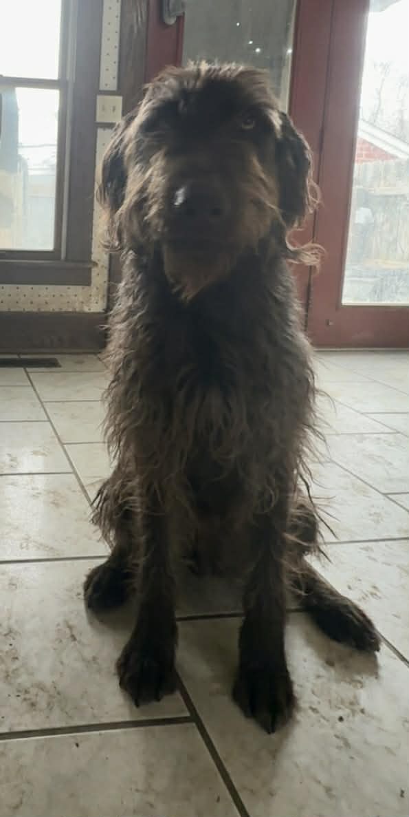 Leroy