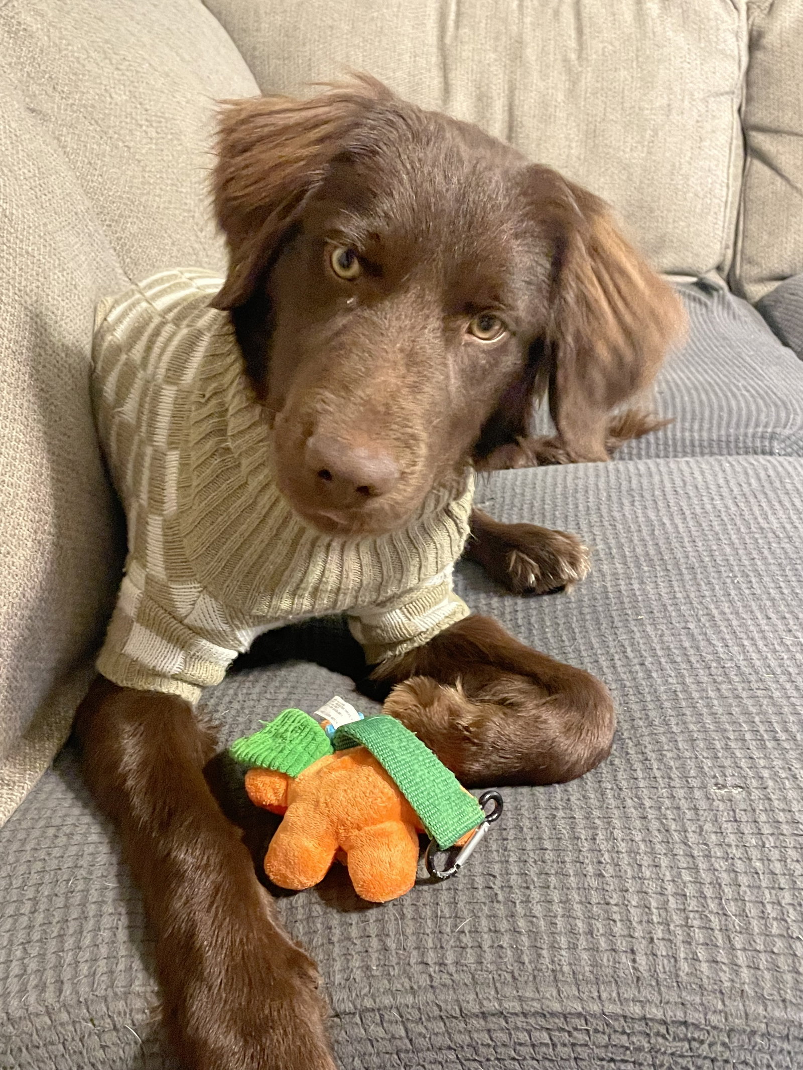 Benny Image