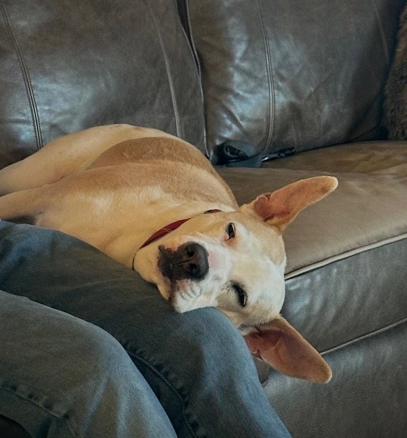 Duke