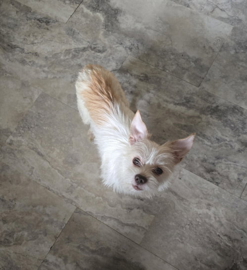 Gwen photo 2