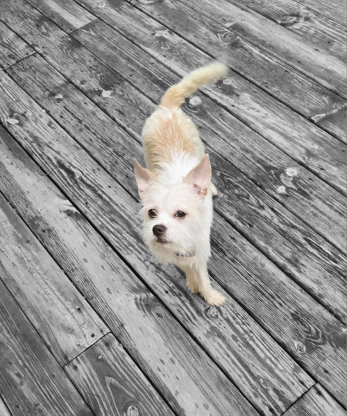 Gwen photo 3