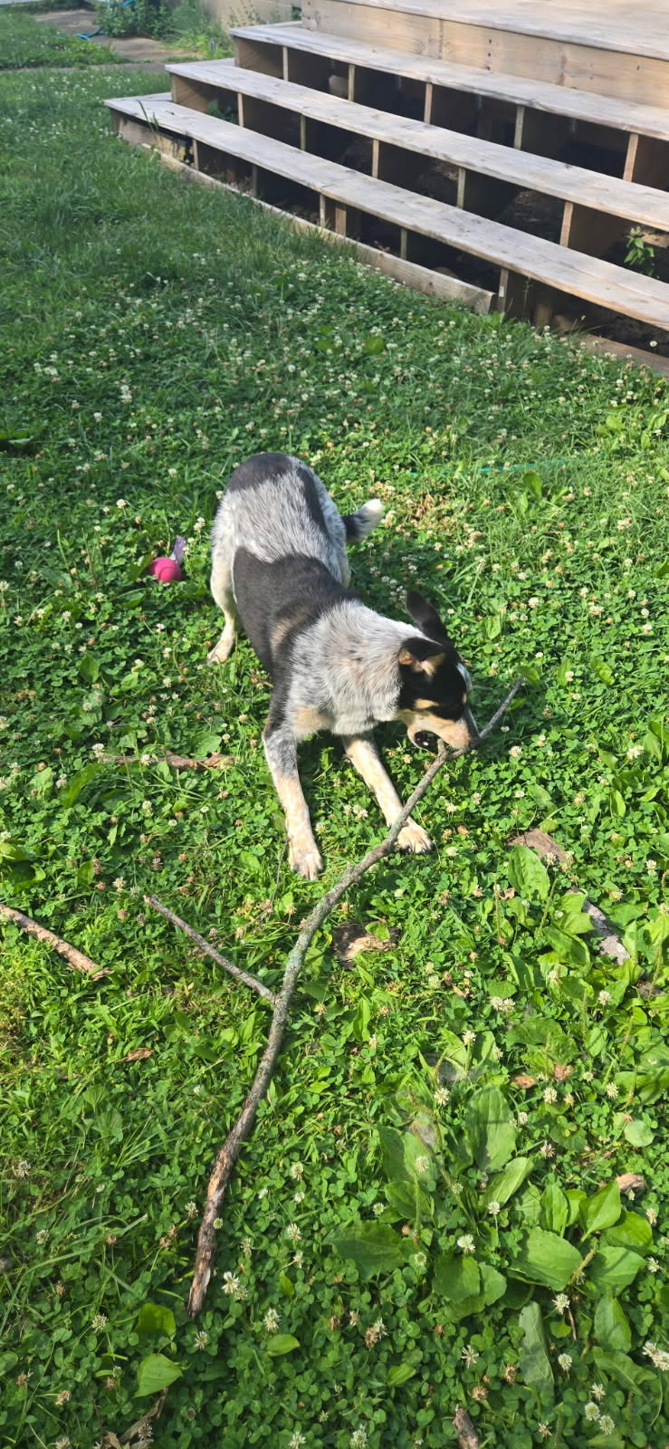 Penelope, photo 7