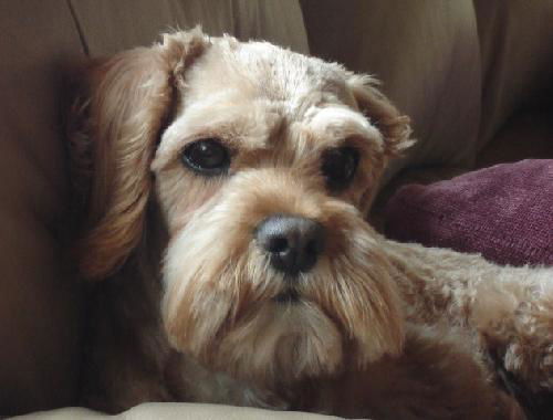 Maggie