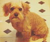 Maggie