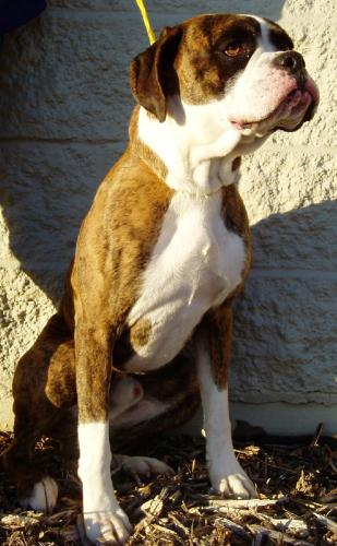 Lennox