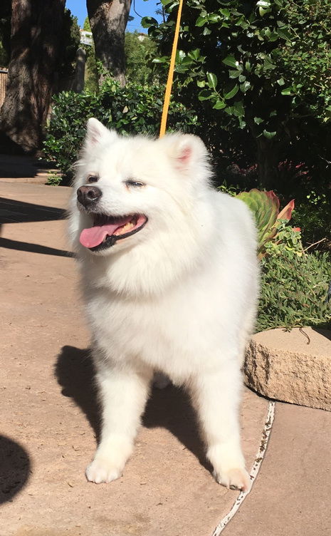 Lucy of CA