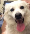 Sugar of Kissimmee, FL