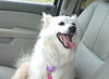 Sugar of Kissimmee, FL