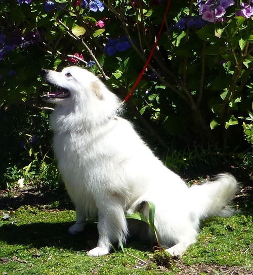 Marley of  Sequim, WA