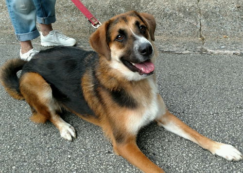 Baxter of Bryn Mawr Pa