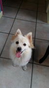 Lizzy of Miami, FL