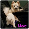 Lizzy of Miami, FL