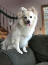 Lizzy of Miami, FL