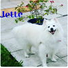 Jette of Miami, FL