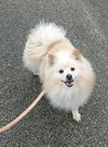 Louie of Miami, FL