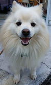 Louie of Miami, FL