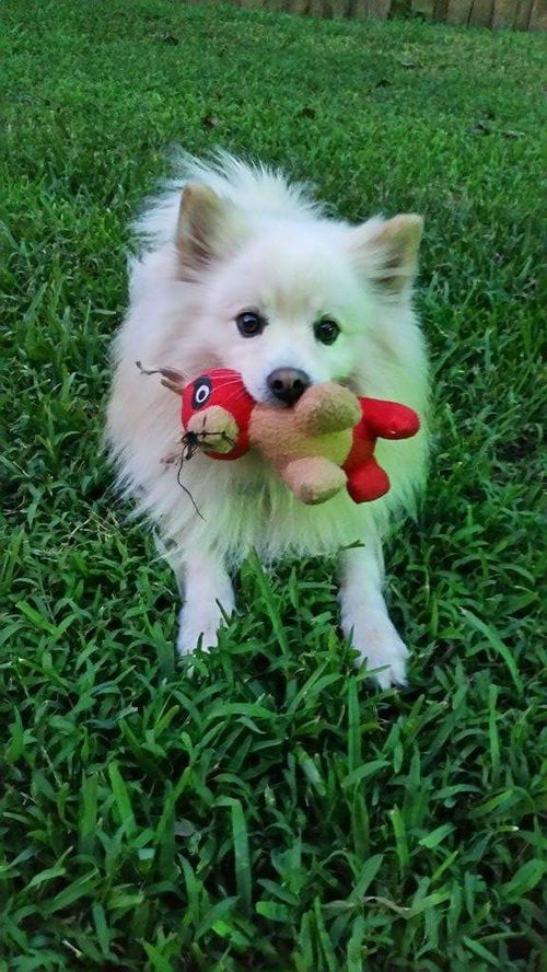Louie of Miami, FL