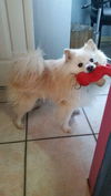 Louie of Miami, FL