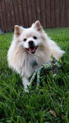 Louie of Miami, FL