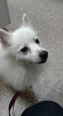 Sophia, of Cincinnati, Ohio