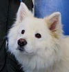 Sunny of Kissimmee, FL