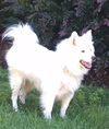 Sunny of Kissimmee, FL