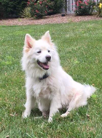 Sunny of Kissimmee, FL