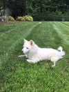 Sunny of Kissimmee, FL