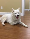 Sunny of Kissimmee, FL