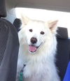 Sunny of Kissimmee, FL