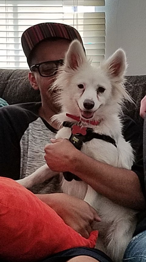 Sophie of MD