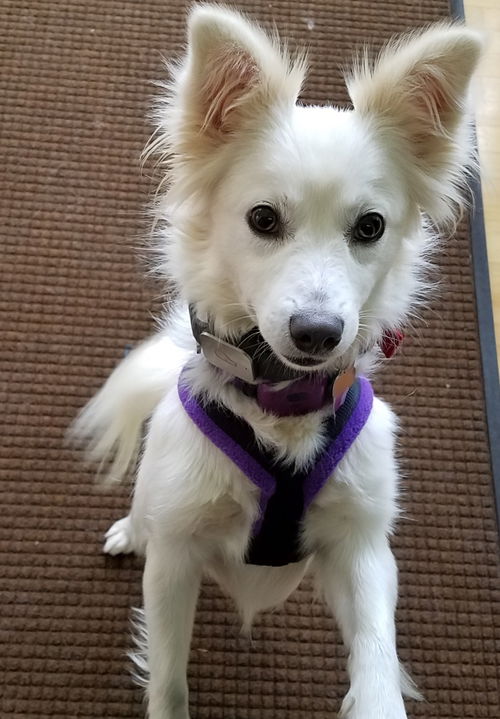 Lucy of NJ