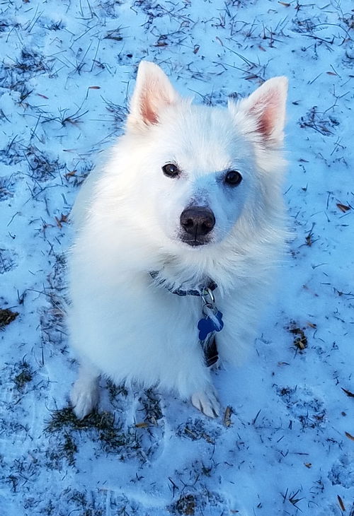 Aspen of MD