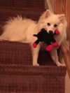 Shiloh of  Woodbridge, NJ