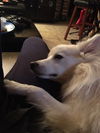 Shiloh of  Woodbridge, NJ