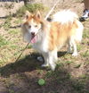 Tucker of Boca Raton, FL