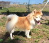 Tucker of Boca Raton, FL