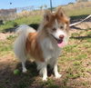 Tucker of Boca Raton, FL