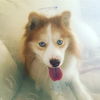 Tucker of Boca Raton, FL