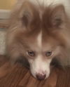 Tucker of Boca Raton, FL